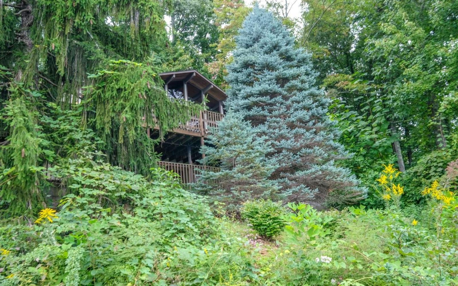Villa Three Pines 2139 à Gatlinburg Extérieur photo